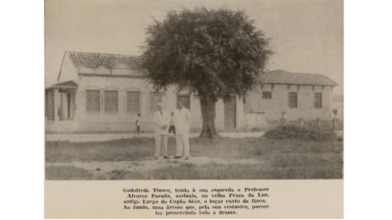 Design sem nome 2 768x431