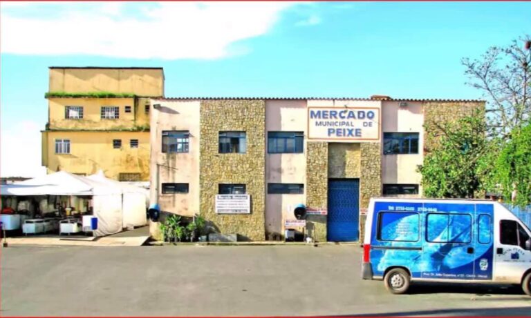 Mercado de Peixes na 2a fase 768x461