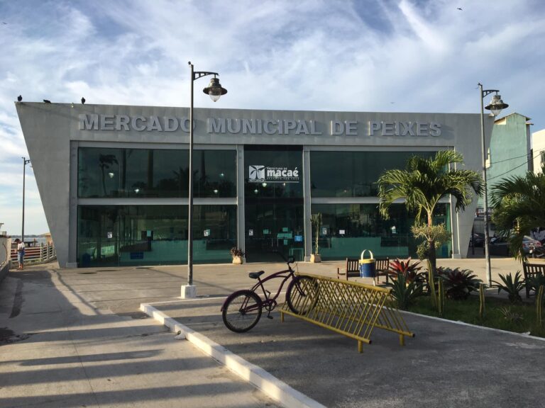 mercado de peixes atual 768x576