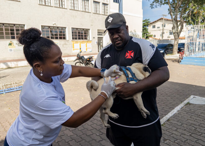 Dia Municipal de Vacinação Antirrábica imuniza 3 mil animais