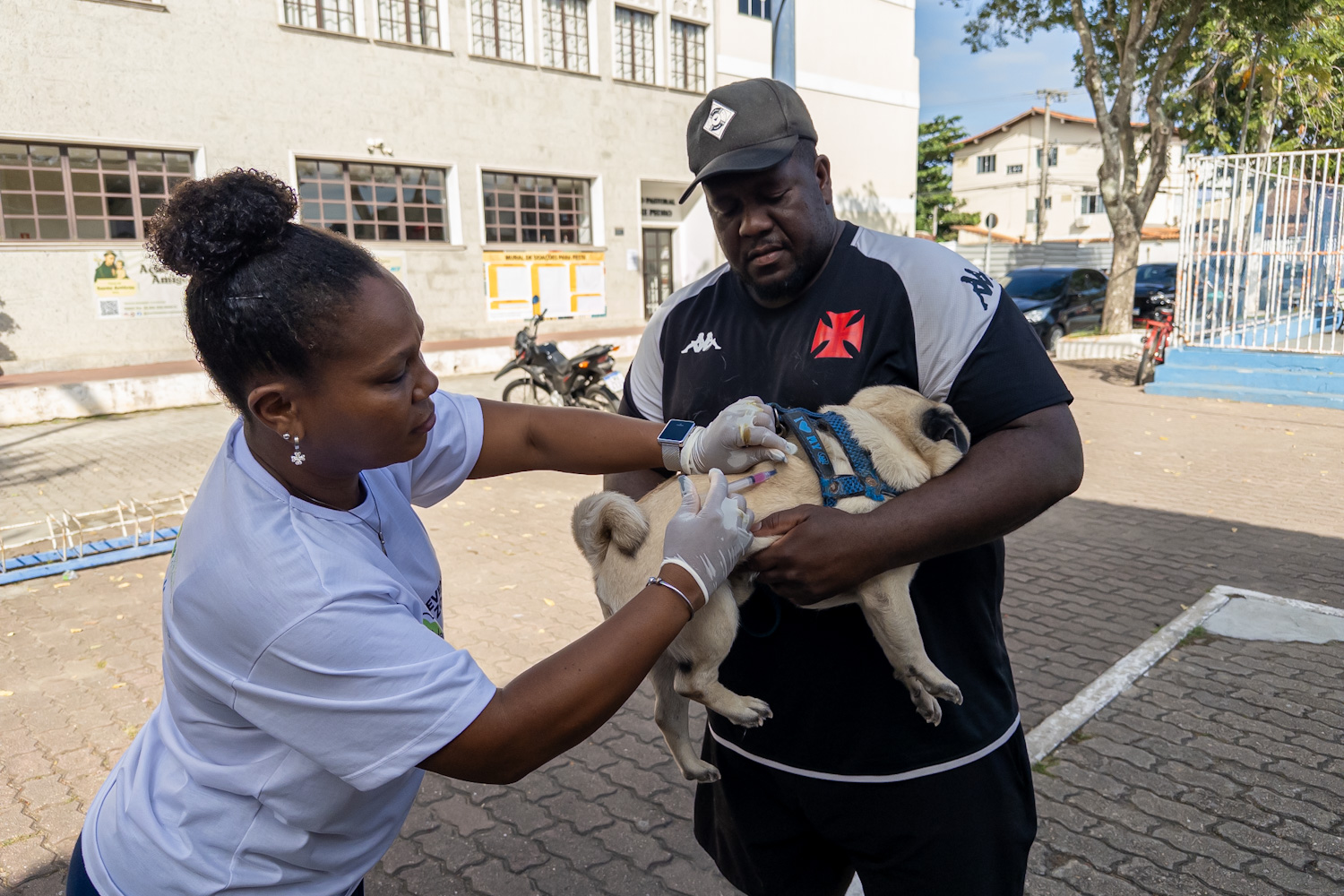 Dia Municipal de Vacinação Antirrábica imuniza 3 mil animais