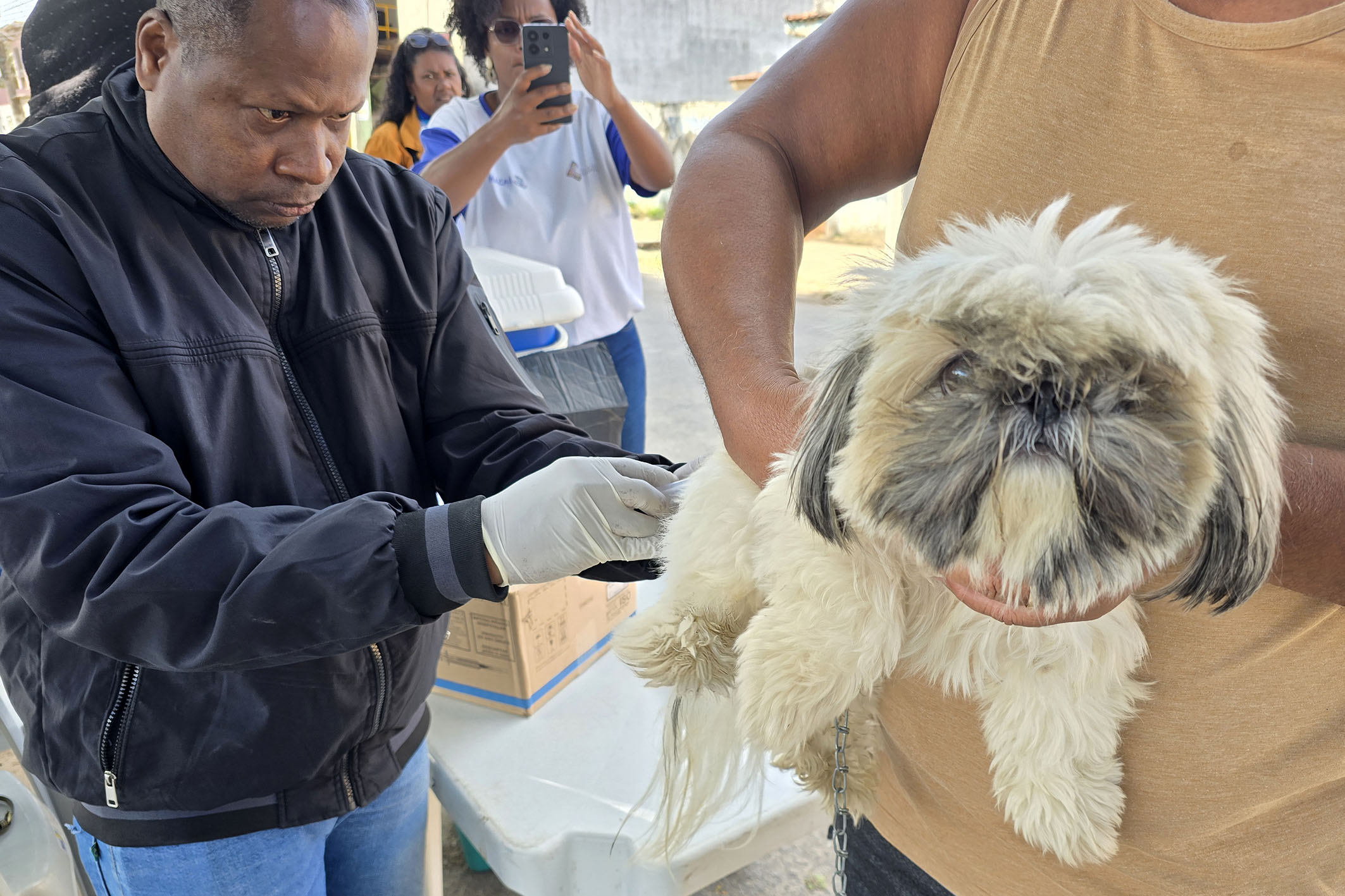 Vacinação antirrábica segue em Macaé com pontos itinerantes nesta semana