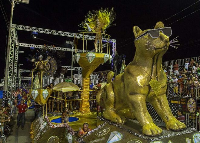 Macaé Carna Fest esquenta o clima para o retorno dos desfiles das escolas de samba