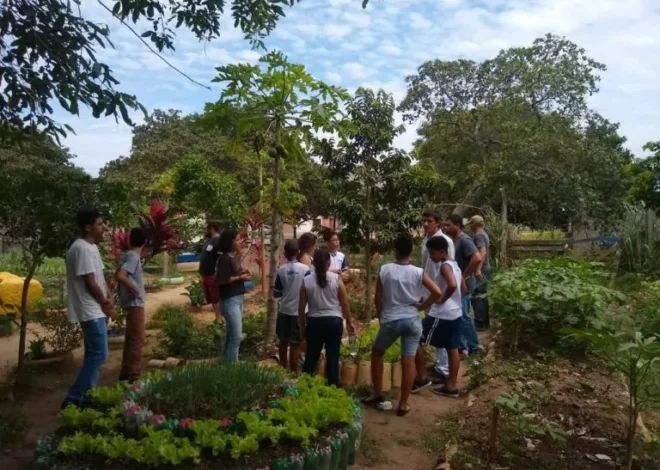 2º Festival Reggae à Horta acontece neste sábado na Horta Comunitária do Barreto